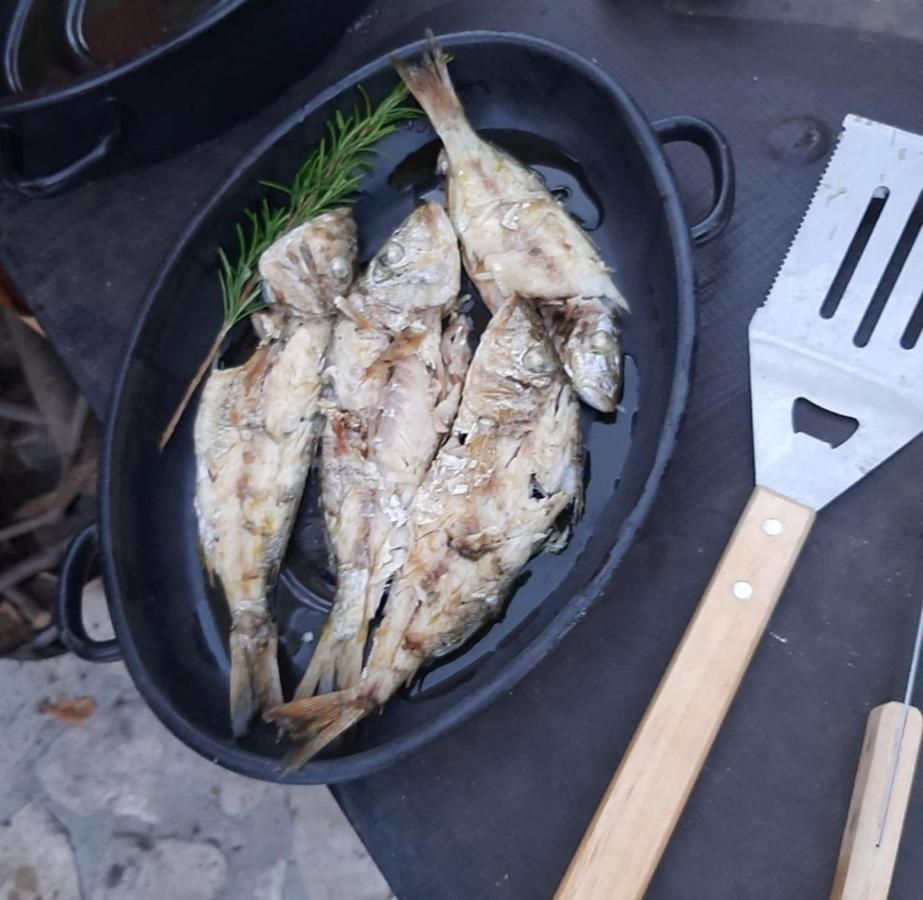 Villa Kuca Za Odmor Leptiric Pisak Exterior foto